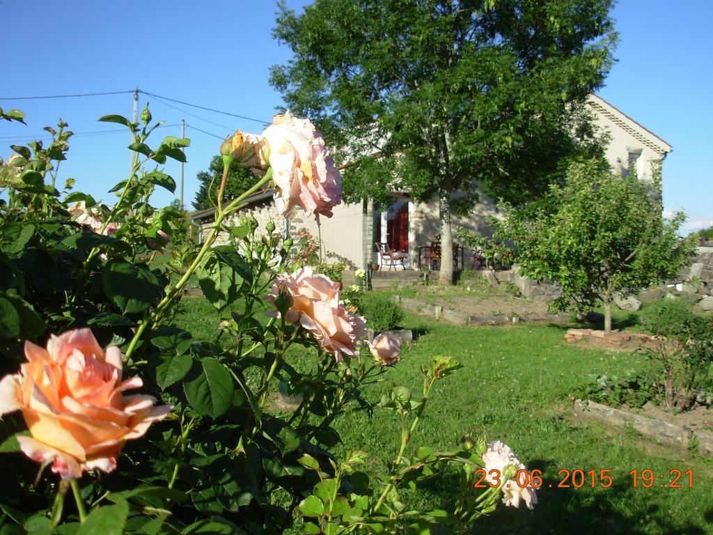 Le Jardin Des Pierres Brunes Saint-Jean-des-Ollieres ภายนอก รูปภาพ